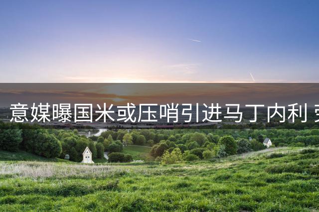 意媒曝国米或压哨引进马丁内利 劳塔罗确定留队